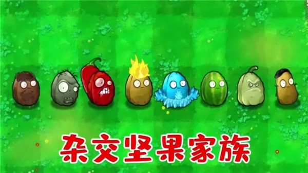植物大战僵尸杂交版怎么玩 植物大战僵尸杂交版怎样玩