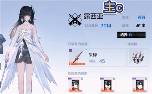 战双帕弥什冰队阵容搭配攻略 2022冰队怎么搭配最强