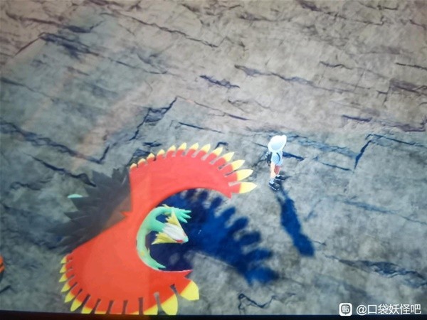 《宝可梦朱紫》刷闪光轰鸣月教程 闪光轰鸣月怎么刷