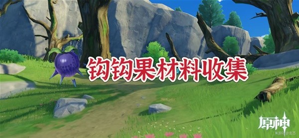《原神》钩钩果高效收集路线分享
