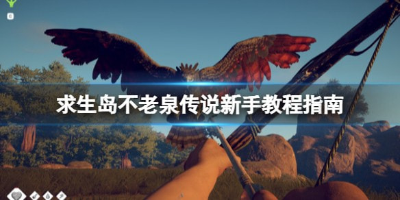 求生岛不老泉传说怎么玩_求生岛不老泉传说攻略汇总