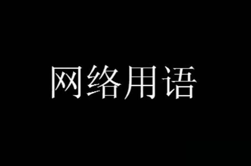 word new new bug knee can网络梗的意思