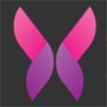 蜜桃视频app在线下载