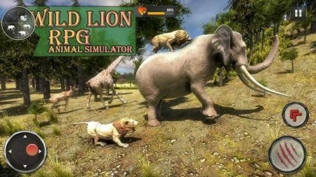 野生狮子RPGWild Lion RPG1