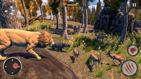 野生狮子RPGWild Lion RPG0