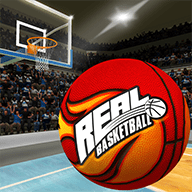 真实篮球3Dbasketball3D手游apk